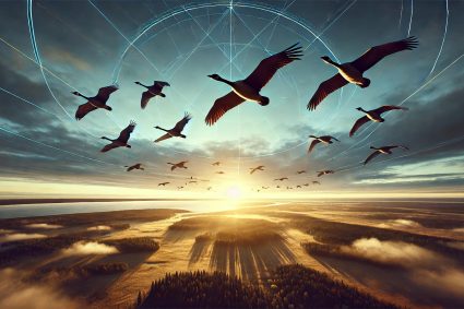 🌿 TRACES OF CREATION | Episode 2 – Navigation Without Technology | 🐦 What Birds Teach Us