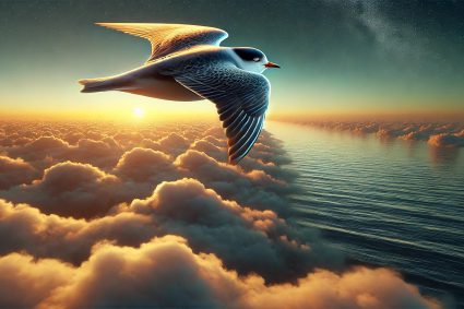 🌿 TRACES OF CREATION | Episode 6 – Sleeping While Flying – When Rest Becomes Essential | 🐦 What Birds Teach Us