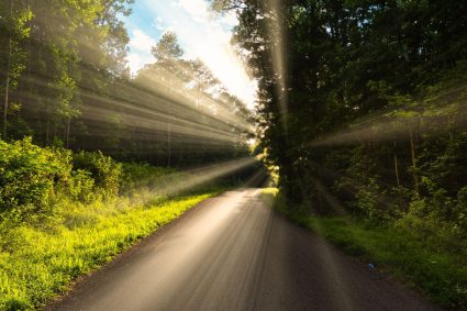 👑 THE KING IS COMING SOON | 24.04.2026 | 🐑 The Voice of the Shepherd: Guidance in the End Times