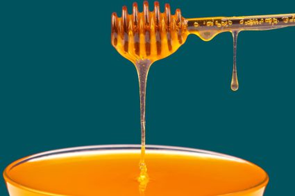 🌱LIVING FAITH | 📚 Lesson 5: How to Study the Bible | 5.5 ’Tis So Sweet! | 🌱 GROWING IN A RELATIONSHIP WITH GOD