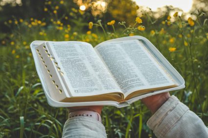 🌱LIVING FAITH | 📚 Lesson 5: How to Study the Bible | 5.6 Summary | 🌱 GROWING IN A RELATIONSHIP WITH GOD
