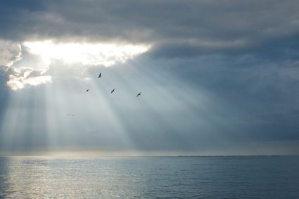 💧THE SILENT INTELLIGENCE OF THE BODY | 🧠 4.Why your body does not experience stress – but meaning | 🧠 Series 1: The foundations of biological order